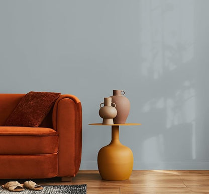 EVOLVE Paint & Primer: Environment-friendly, Low Sheen with One-coat Coverage for Interior &