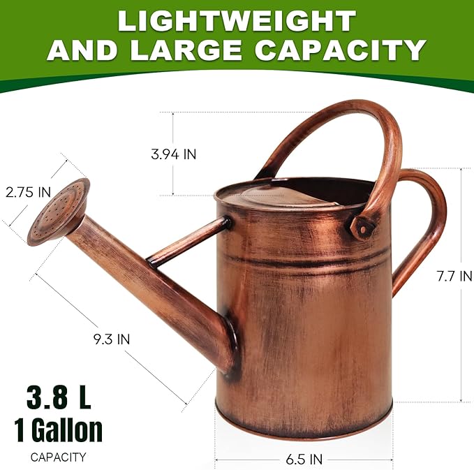 Metal Watering Can with Removable Spout, Galvanized Watering Can, Perfect for Indoor Use and for