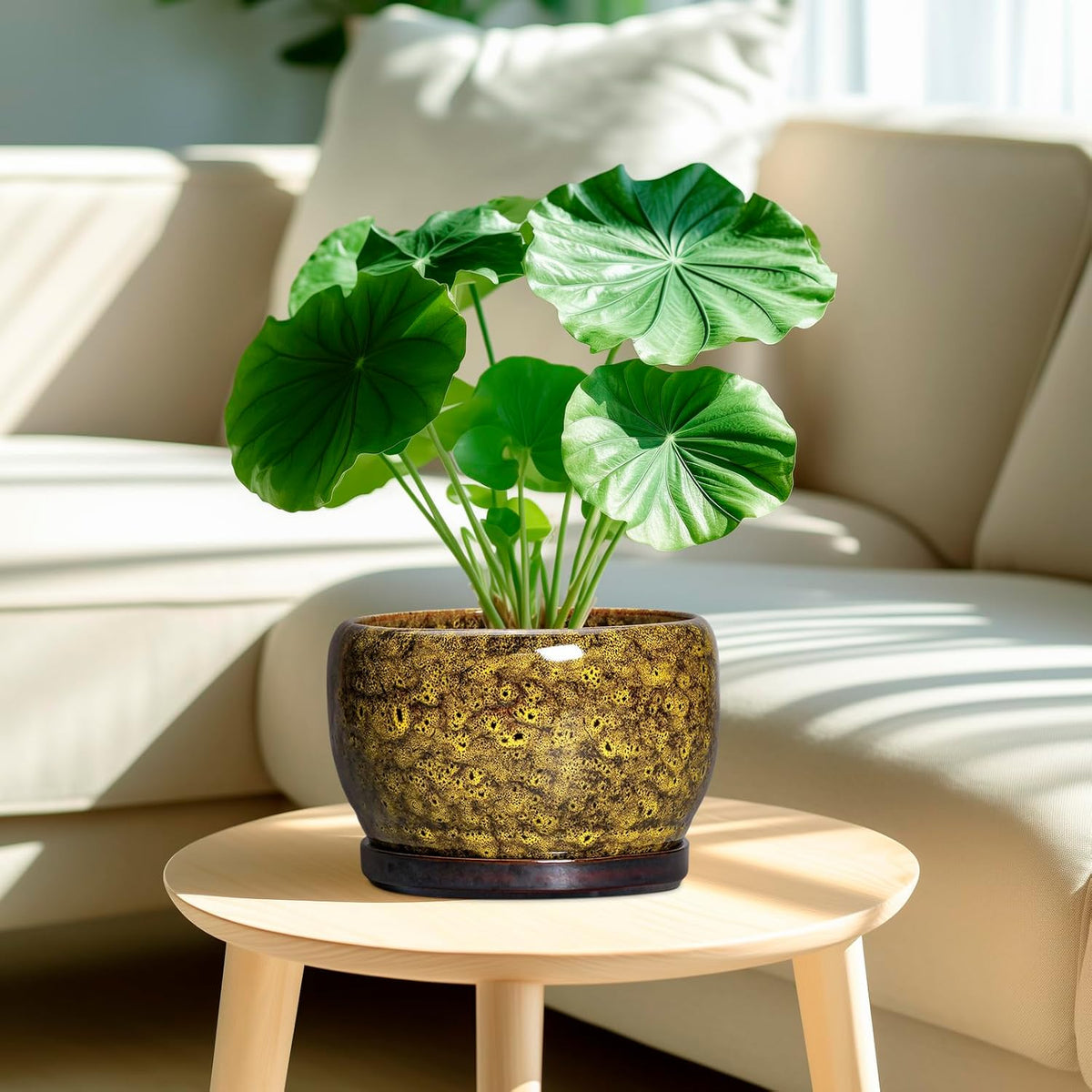 SQOWL Ceramic Flower Pots - 8 inch Ceramic Planter for Indoor Plants, Decorative Plant Pots with