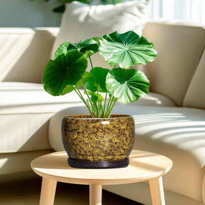 SQOWL Ceramic Flower Pots - 8 inch Ceramic Planter for Indoor Plants, Decorative Plant Pots with