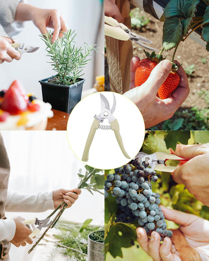 Pruning Shears for Gardening, 2 Pack Garden Scissors for Cutting Fresh Flowers, Floral Clippers for