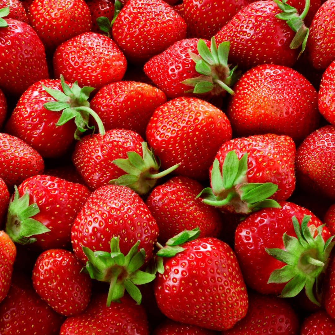 Albion Everbearing Strawberry Plants - Fruit Very Firm, Sweet, High Yields (20 Plants) Can Not Ship