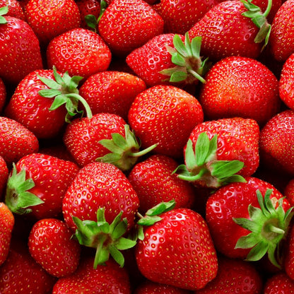 Albion Everbearing Strawberry Plants - Fruit Very Firm, Sweet, High Yields (20 Plants) Can Not Ship