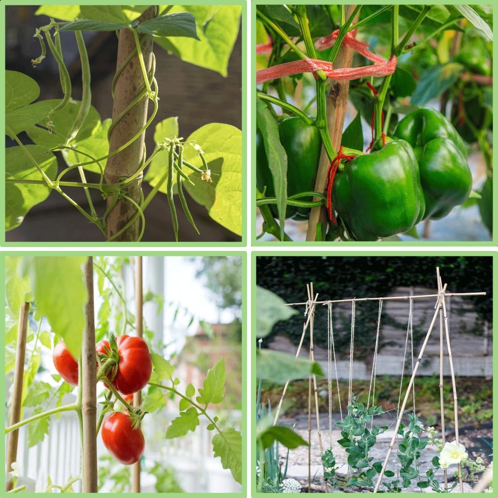 Bamboo Plant Stakes – 25pcs 4FT Natural Bamboo Garden Stakes for Tomatoes, Peppers, Beans, Indoor &