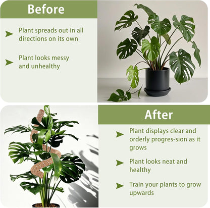 2 Pack Moss Pole, 28 Inch Monstera Plant Support, Moss Poles for Climbing Indoor Plants, Handmade