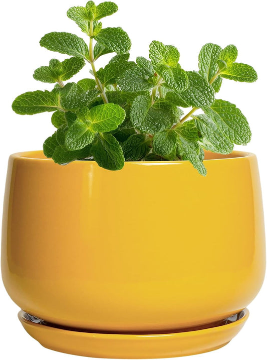 G EPGardening 4 Inch Ceramic Planter - Succulent Pots for Plants Indoor Outdoor, Small Plant Pots
