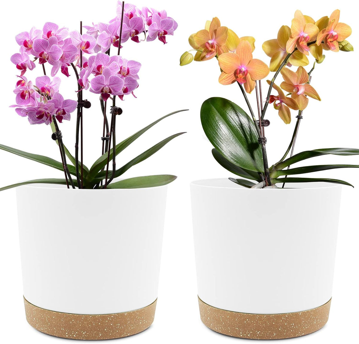 QCQHDU 8 inch Plant Pot, 2 Pack Planters for Indoor Plants with Drainage Holes & Saucer, Outdoor