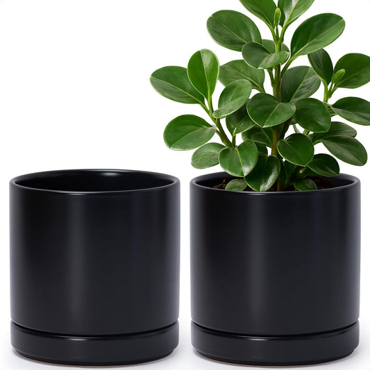 D'vine Dev Set of 2 Plants Pots, 6.5 Inch Ceramic Planter Pot for Plants with Drainage Hole and