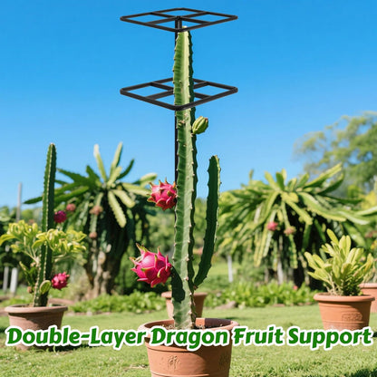 Adjustable Double-Layer Dragon Fruit Trellis Black,Durable Metal Plant Trellis Outdoor Climbing