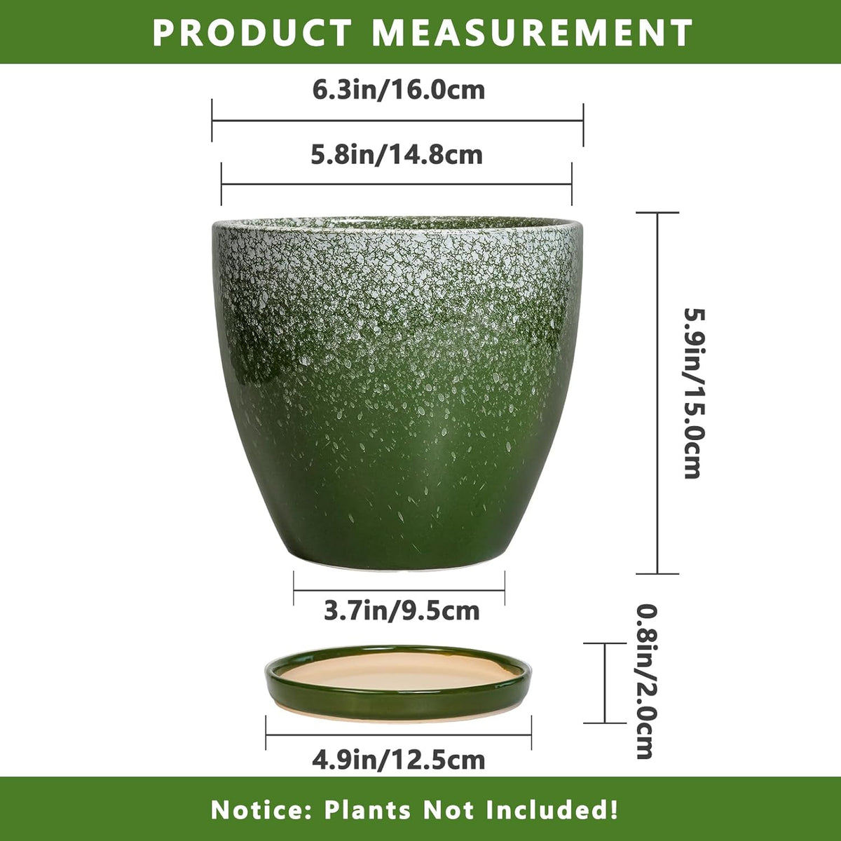 Ceraimc Plant Pot - 6 Inch Planter with Drainage and Plant Tray, Round Succulent Planters