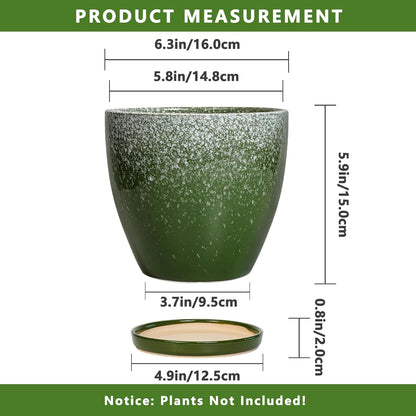 Ceraimc Plant Pot - 6 Inch Planter with Drainage and Plant Tray, Round Succulent Planters