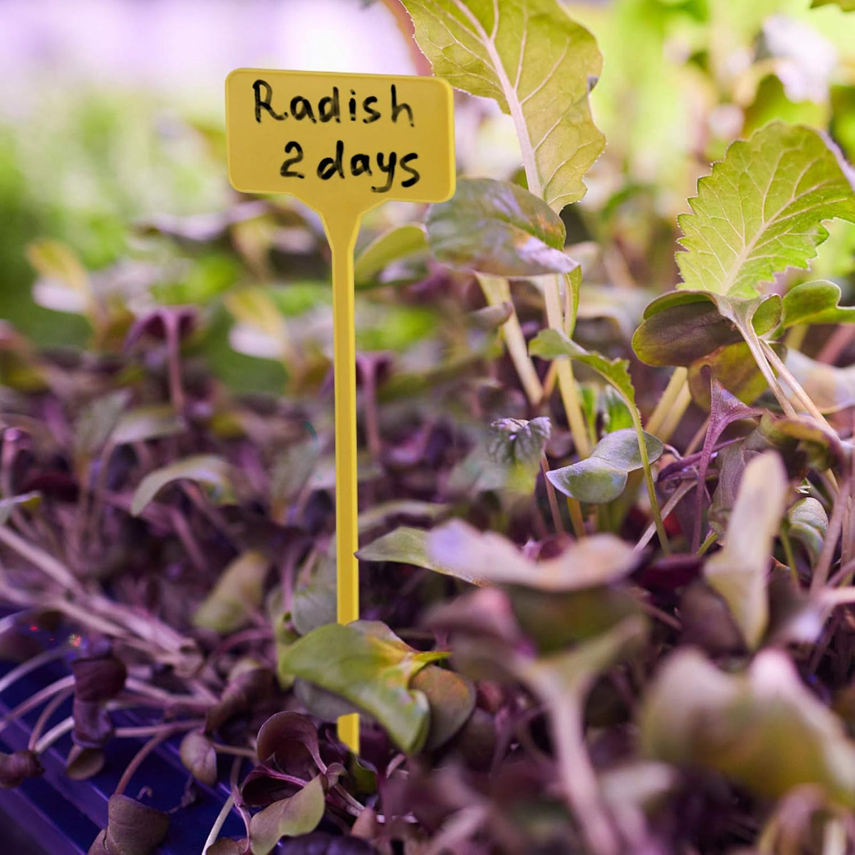 50 Pack Outdoor Tall Plant Labels, Large Waterproof Plastic Plant T-Type Tags, Durable Nursery