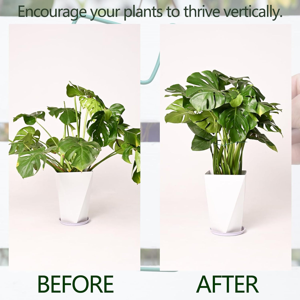 5PCS Green Monstera Plant Stem Support - 11x9.4 Adjustable Fishbone Cactus Stake Holder, Durable
