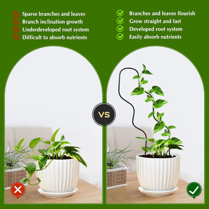 13.4 Inch Indoor Plant Trellis for Climbing Plants,Metal Trellis,Small Garden Trellis for Potted