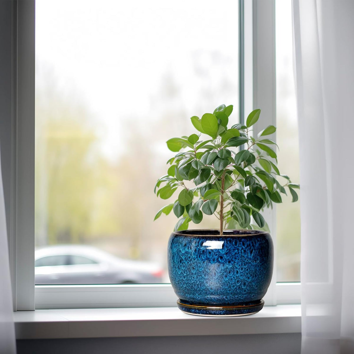 SQOWL Ceramic Planter 8 Inch - Pot for Indoor Outdoor Plants Round Ceramic Plant Pot with Drainage