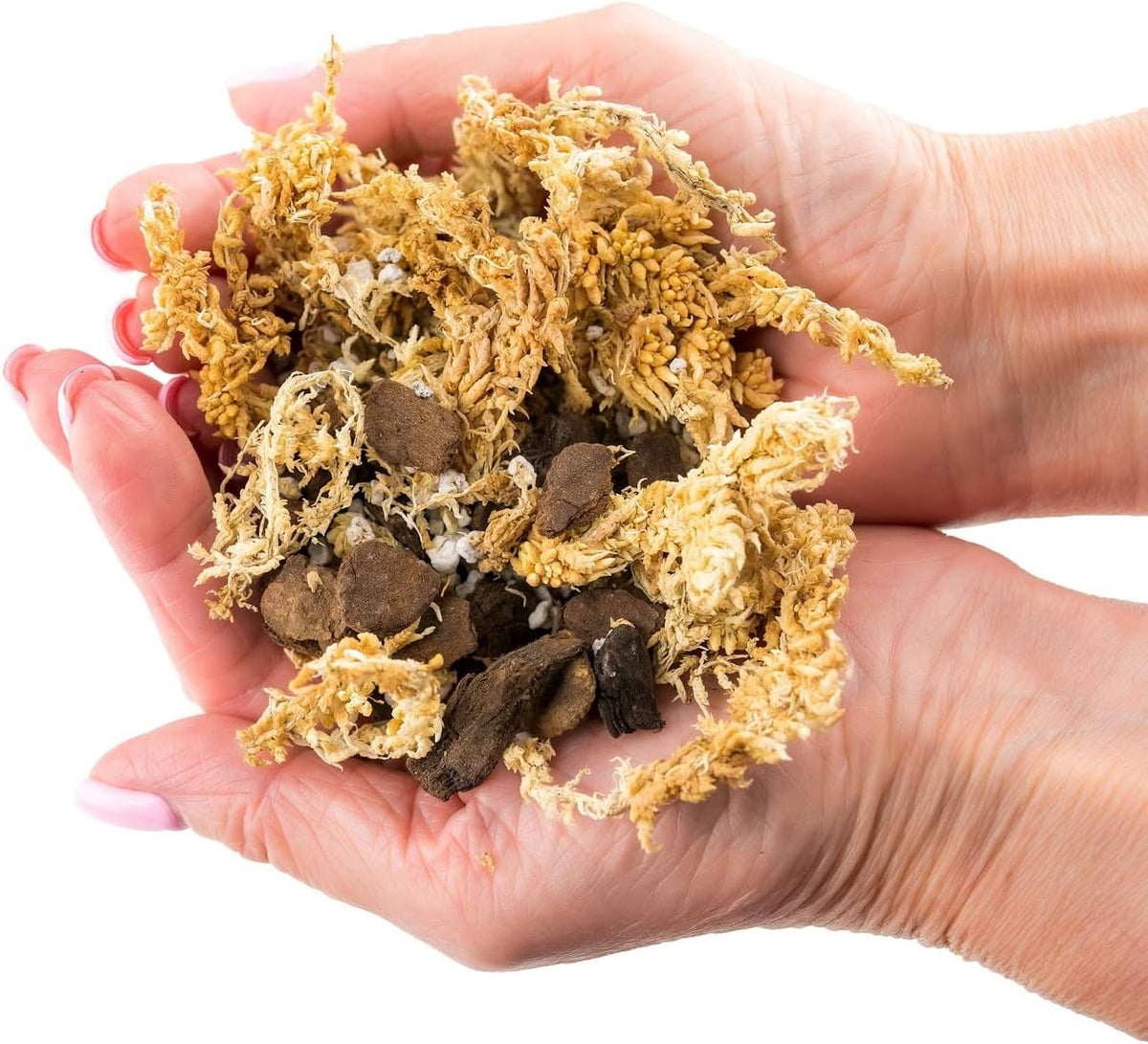 Premium Sphagnum Moss, Perlite and New Zealand Pine Bark Blend for Carnivorous Plants - Perfect for