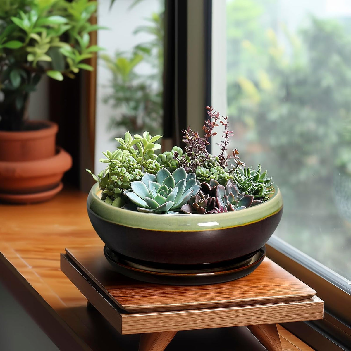 SQOWL Bonsai Pots 8 Inch - Ceramic Succulent Planters with Drainage Hole and Tray, Round Shallow