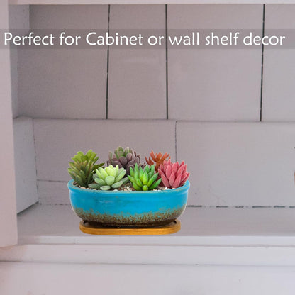 Succulent Pots, 7.9 Inch Long Rectangular Succulent Planters with Drainage Tray, Shallow Planters