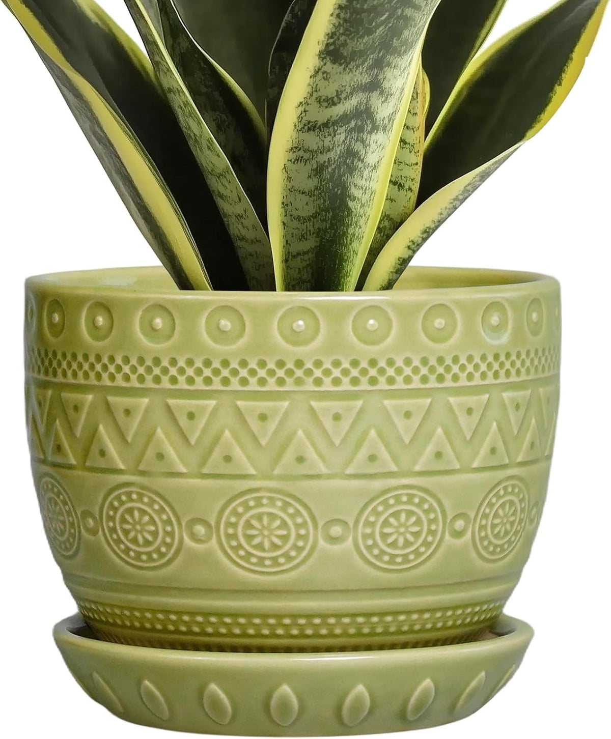 G EPGardening Indoor Plant Pot 5.5 Inch - Ceramic Planter with Drainage Hole and Saucer, Round Boho