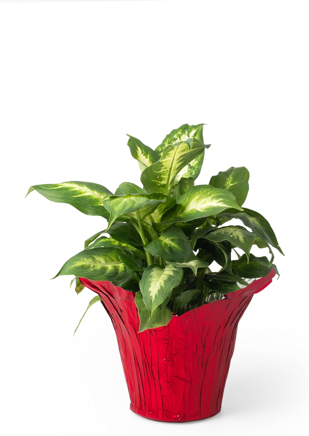 4.5” STD Plant Pot Covers, Decorative Plant Sleeve for Indoor & Outdoor House Plants, Reusable and