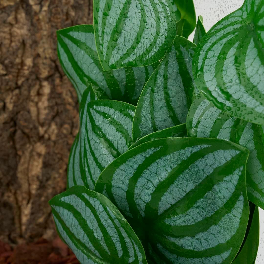 Reptile Plants for Terrarium, Amphibian Habitat Decor Artificial Hanging Plants with Suction Cup