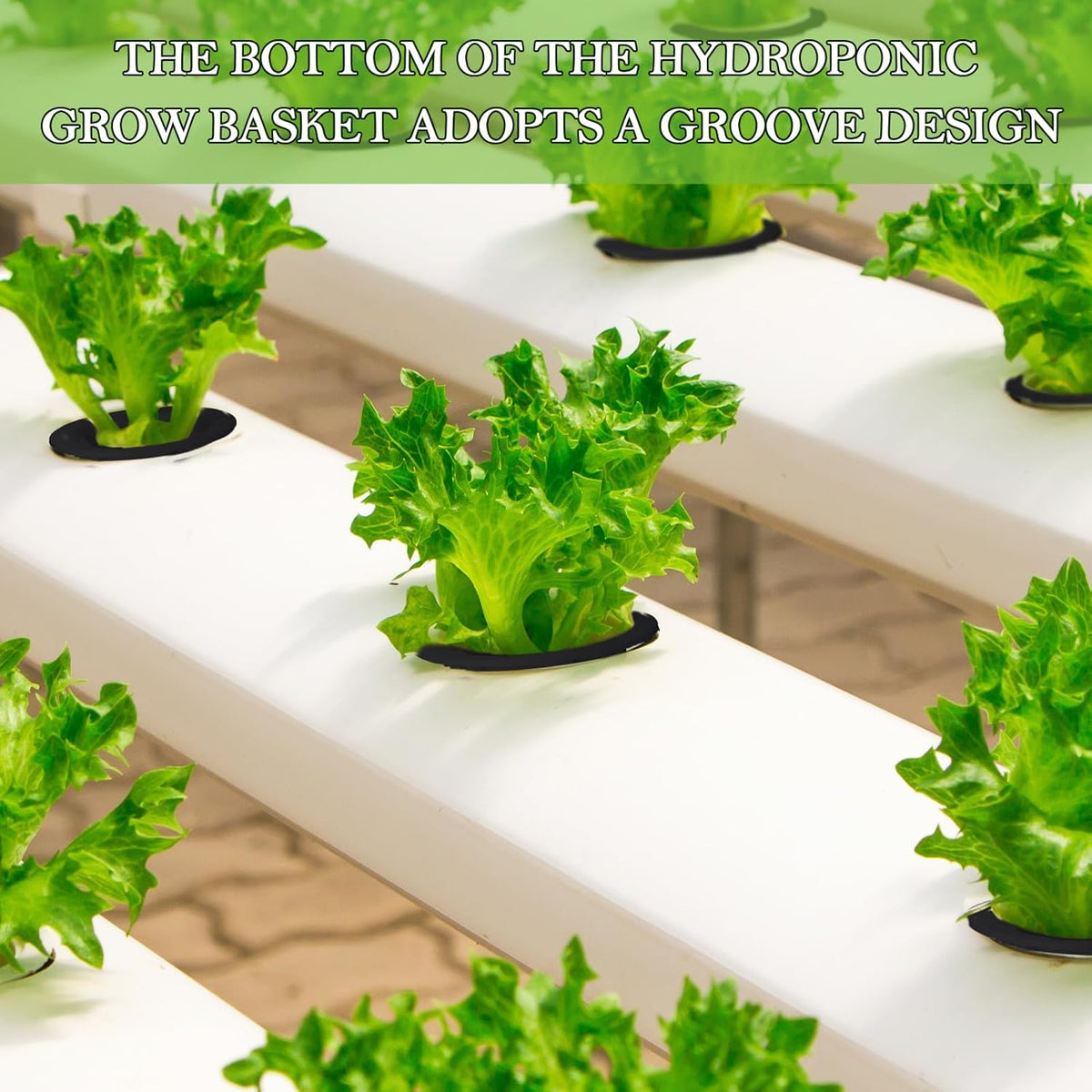 Cunhill 100 Pcs Hydroponic Growing Kit Include 50 Pcs Plant Replacement Basket Containers and 50