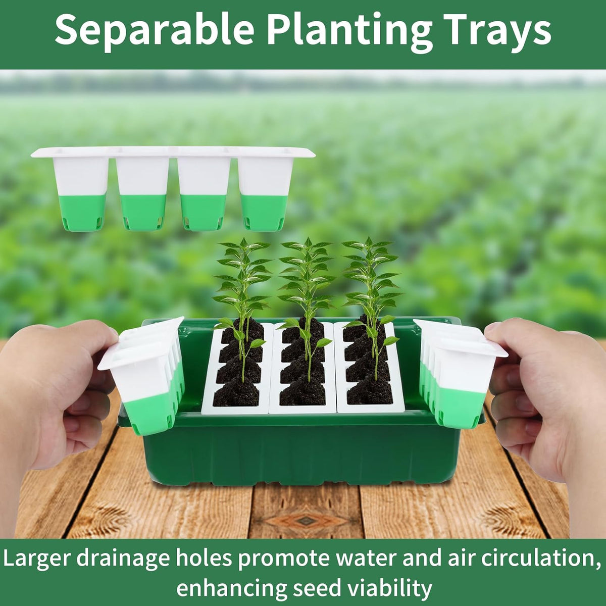 Sondiko Seed Starter Tray with Soft Silicone Cells, 80 Cells Seedling Trays Seed Startering Kit, 4