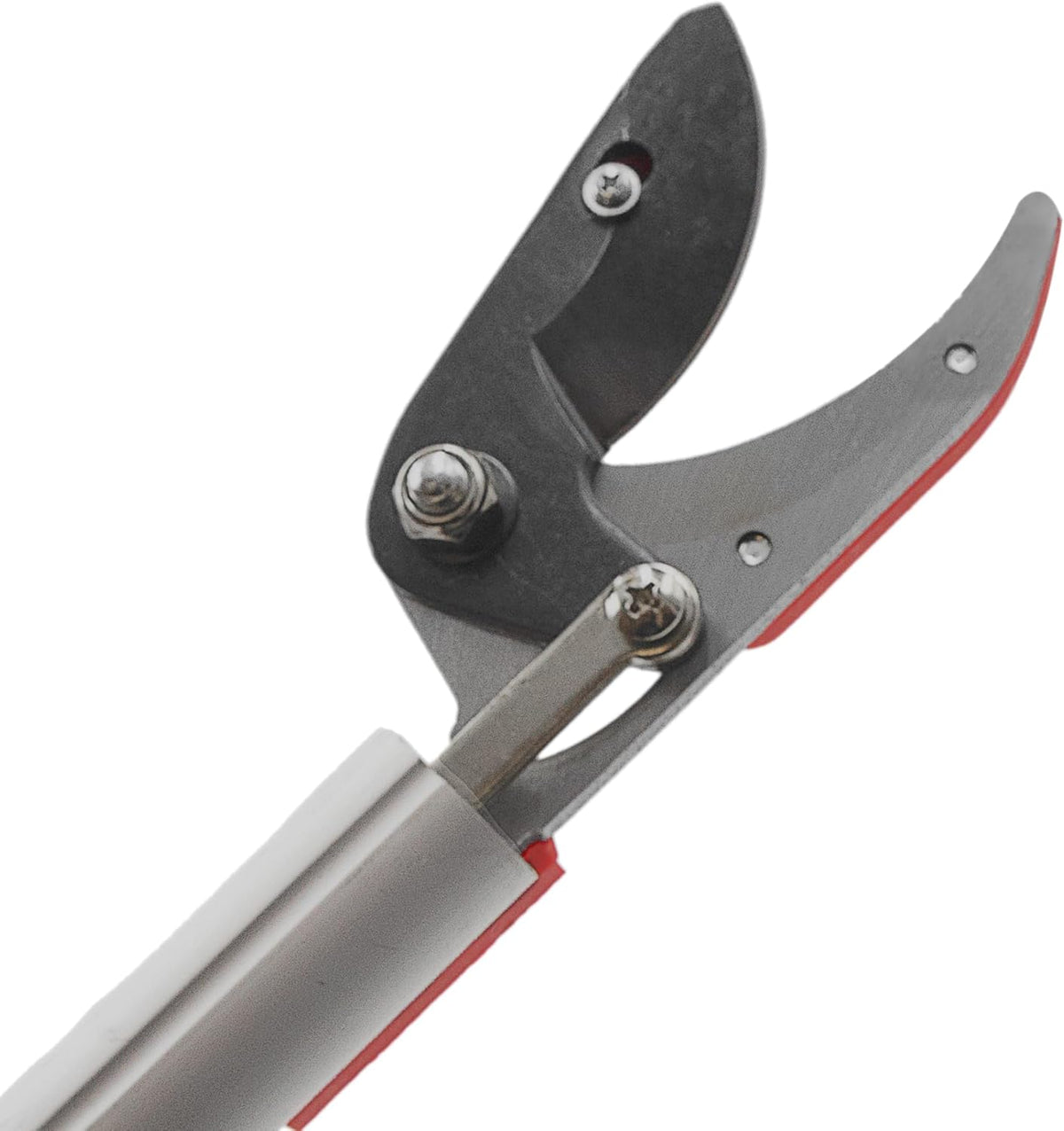 Zenport ZL610 Long Reach Pruner, 24-Inch, 620mm