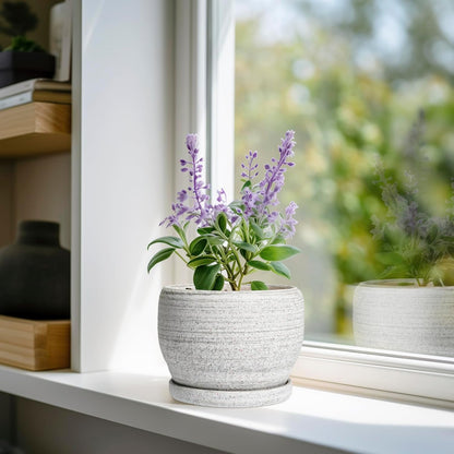 SQOWL Ceramic Planters for Indoor Plants - 6 Inch Plant Pot with Drainage Hole and Saucer, Small