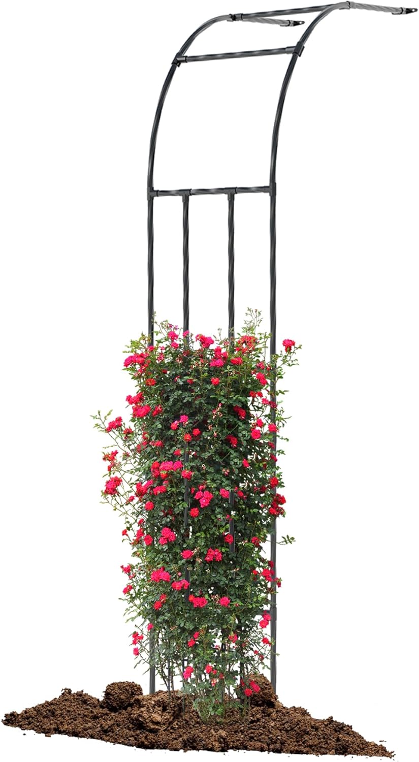 Twira Half Side Garden Arch Trellis, 7.9FT Metal Arbor Trellis for Climbing Plants Outdoor, Black