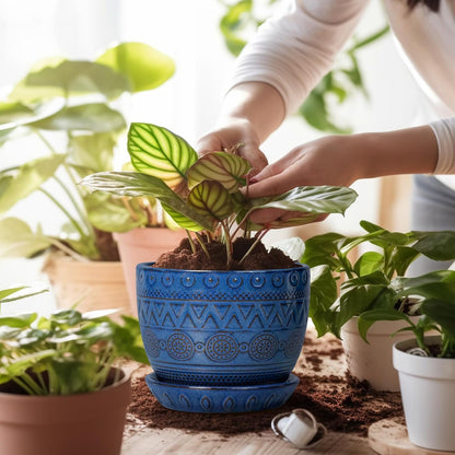 G EPGardening Pot for Plants 5 Inch - Ceramic Planter for Indoor Plants Outdoor, Succulent Pot with