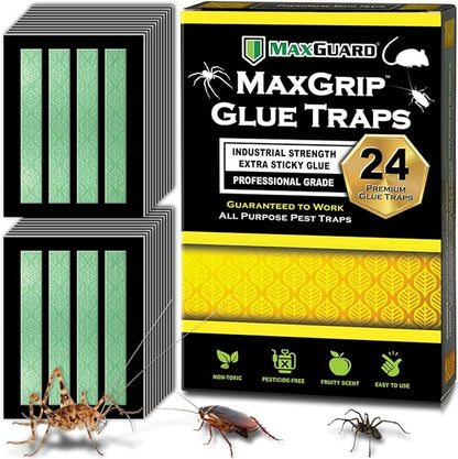 MaxGuard MaxGrip Glue Traps (24 Traps) Non-Toxic Extra Sticky Glue Board Pre-Baited with Fruity