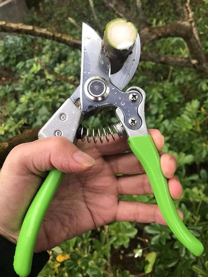 Garden Shears, Japanese Pruning Shears for Heavy Duty, Flowers Herbs Grapes Plant and Branch