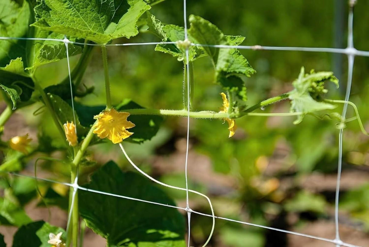 Trellis Netting, Aaamazing Netting, Scrog Net, Trellis Net, 10ft x 4920ft Roll, for Climbing