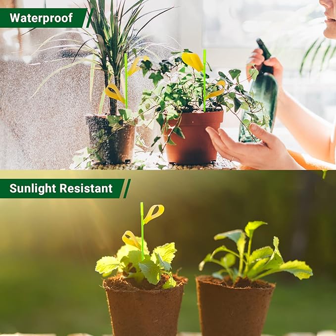 30PCS Fruit Fly Traps for Indoors Gnat Traps for House Indoor Yellow Sticky Traps for Plants