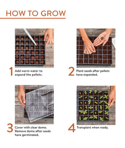 Burpee Greenhouse Indoor Starting Herbs, Flowers and Vegetables | Includes Dome, Watering, Seed