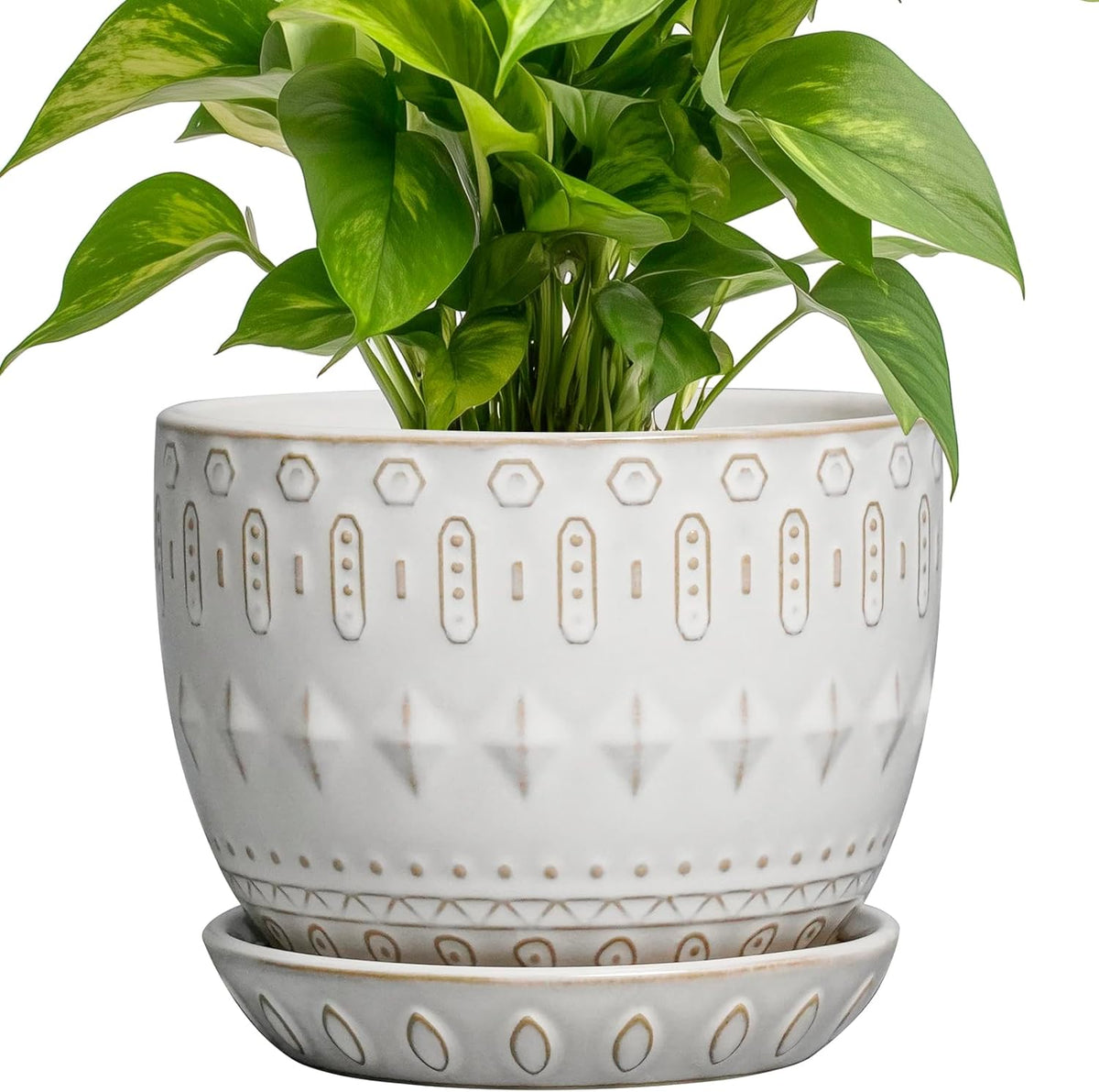 G EPGardening Ceramic Plant Pot - Succulent Pots with Drainage Hole and Saucer 5 Inch Planter for