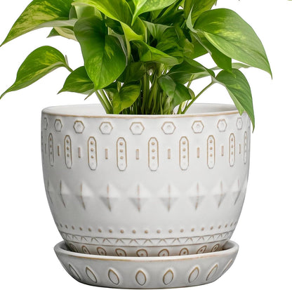 G EPGardening Ceramic Plant Pot - Succulent Pots with Drainage Hole and Saucer 5 Inch Planter for