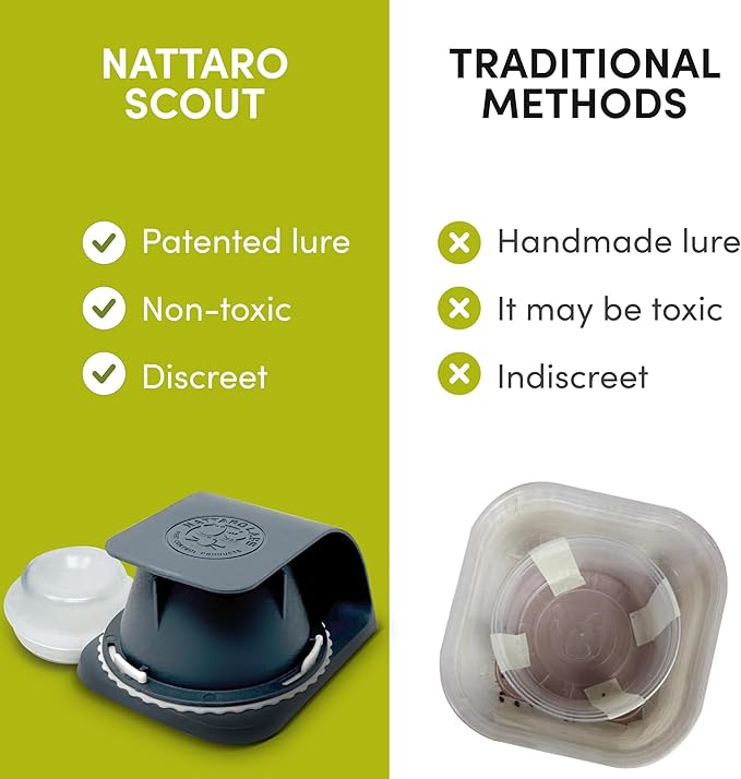 Scout Bed Bug Detection Trap – Non-Toxic Early Monitoring Solution with Patented Pheromone