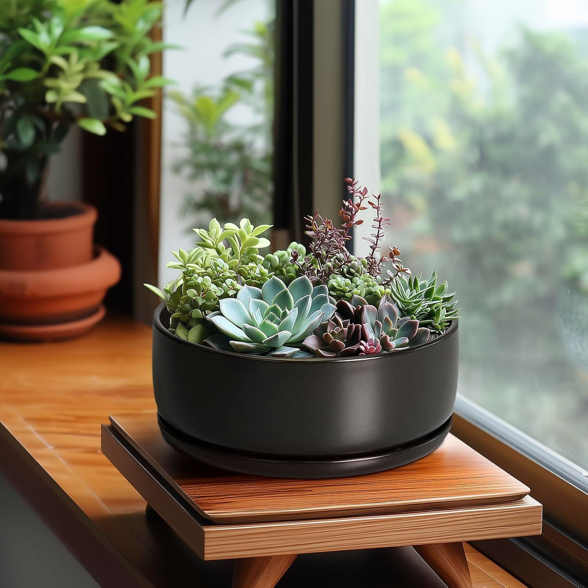 SQOWL Bonsai Pots - 8 Inch Ceramic Plant Pots for Succulents, Round Indoor Planter with Drainage