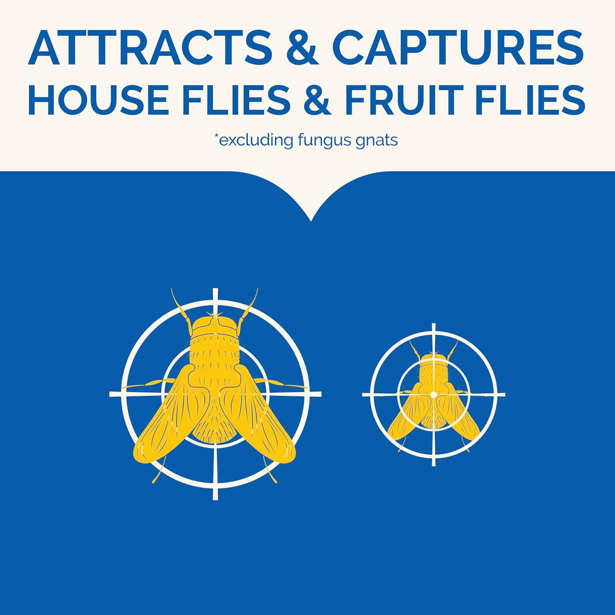 Hot Shot Flying Insect Trap, Discreet, Hassle-Free Trap Attracts, Captures House Flies and Fruit