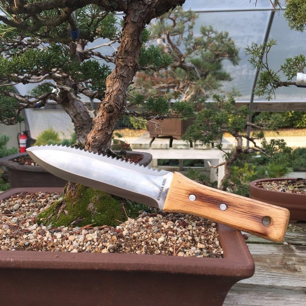 Bonsai Outlet Tinyroots Hori Hori Knife for Gardening, Multiple Purpose Garden Tools Used for