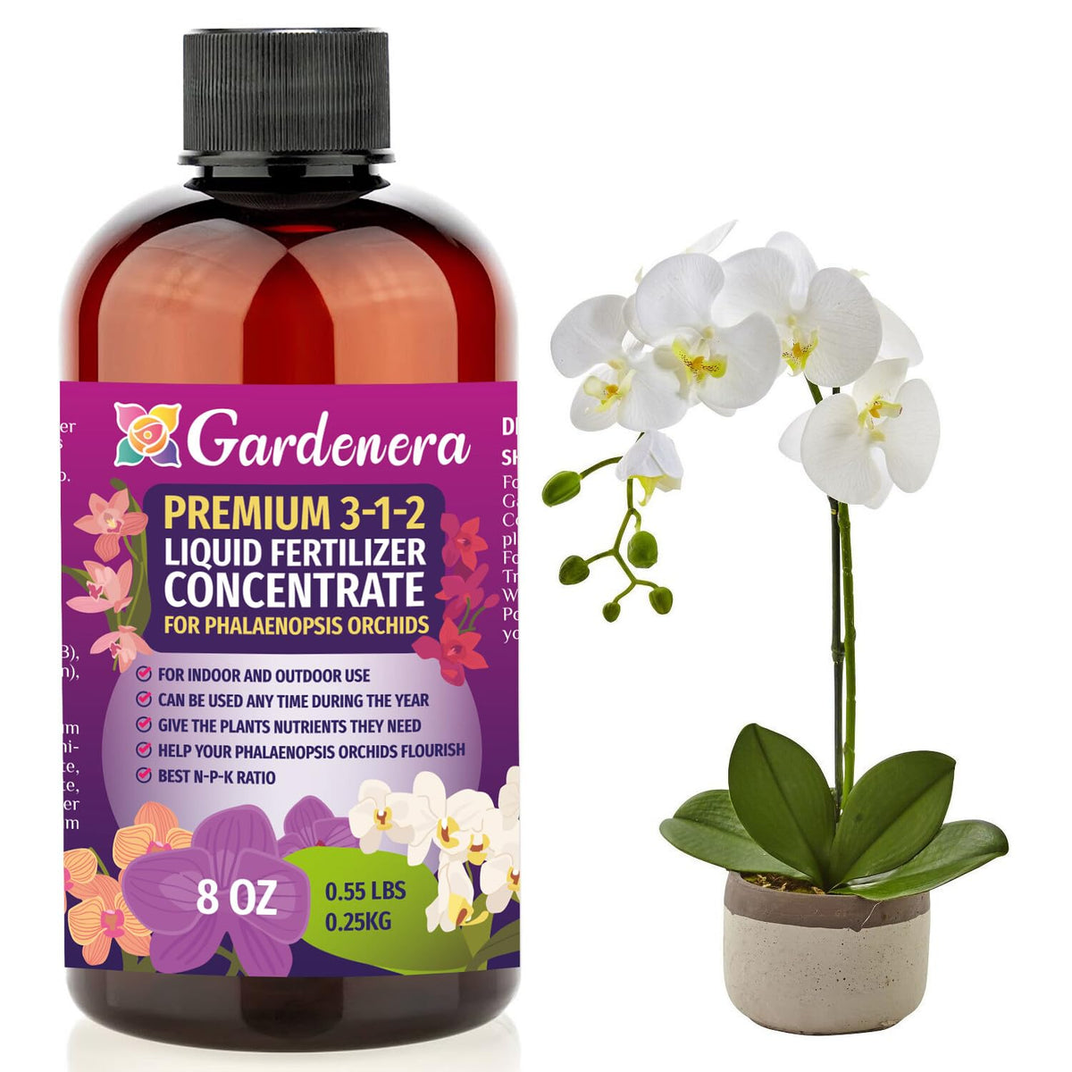 Premium Liquid PHALAENOPSIS Orchid Plant Fertilizer - 3-1-2 Concentrate for Indoor Plants and