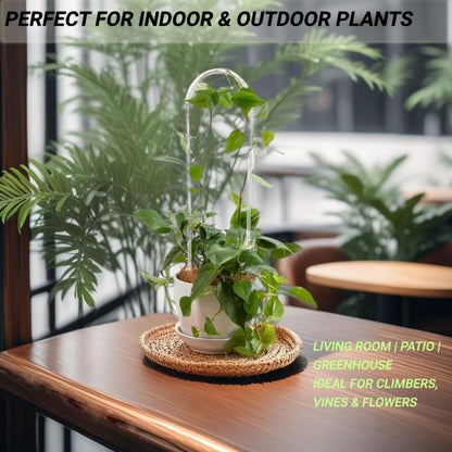 2 Pack U-Shaped Clear Acrylic Plant Supports - 14 inches Indoor/Outdoor Climbing Vine Trellis for