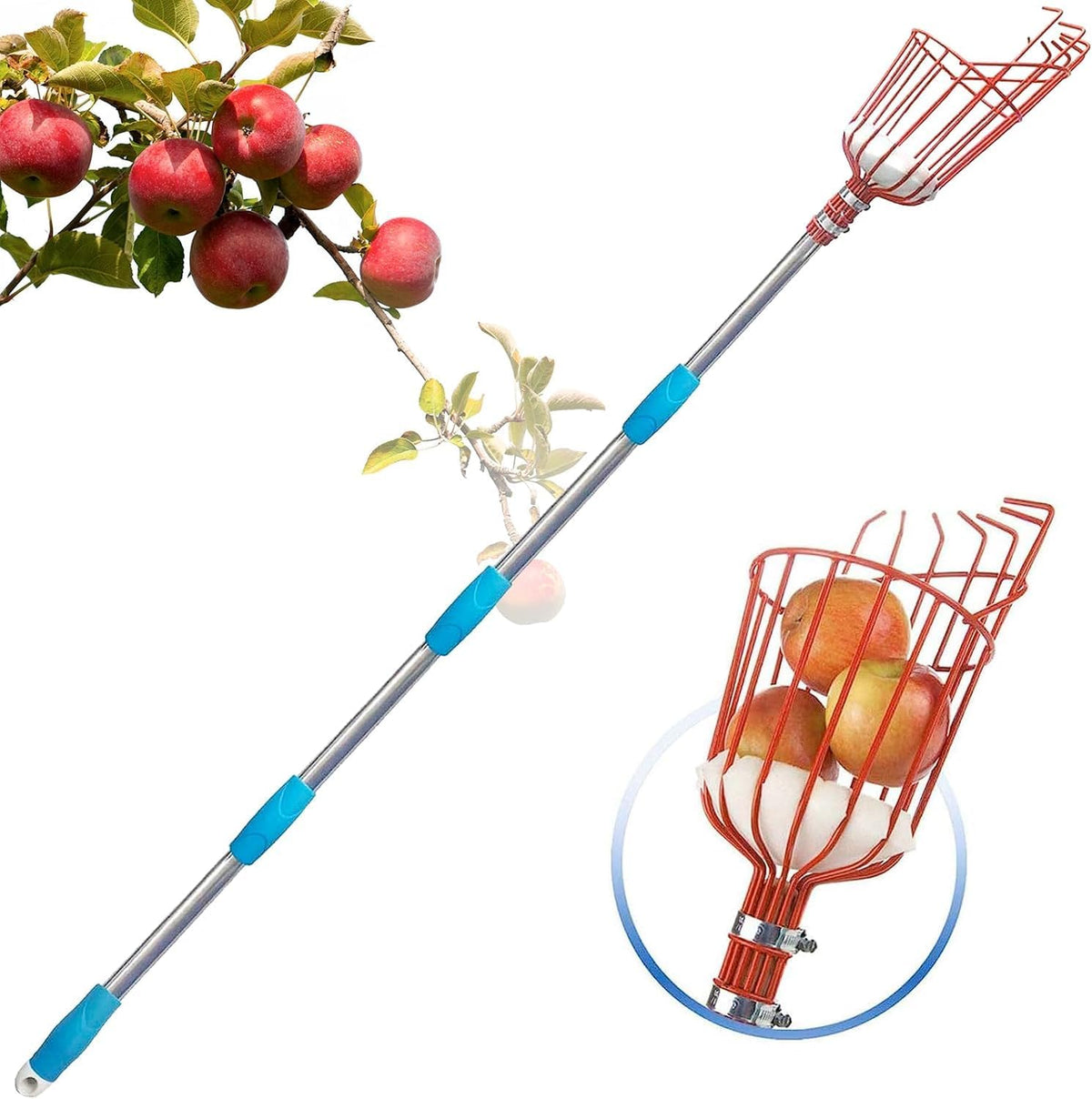 Adjustable Fruit Picker with Telescoping Handle and Basket, 5.5ft - Ideal for Apple, Orange