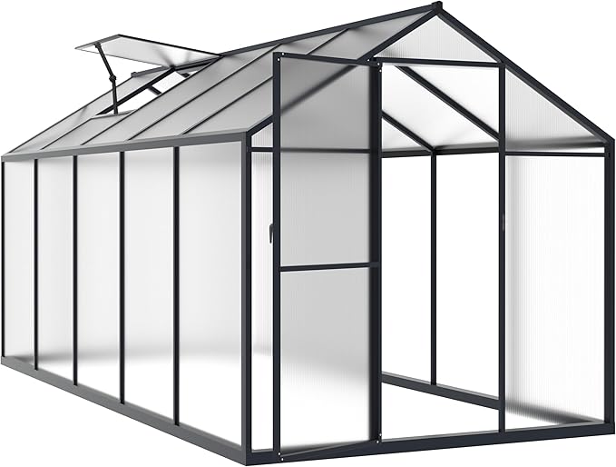 BlueWish 6x10FT Greenhouses for Outdoors, Aluminum Greenhouse with Adjustable Vents, Rivet