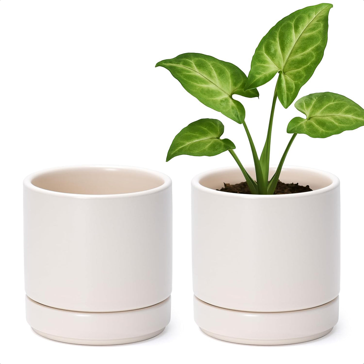 D'vine Dev Set of 2 Plants Pots, 4.7 Inch Ceramic Planter Pot for Plants with Drainage Hole and