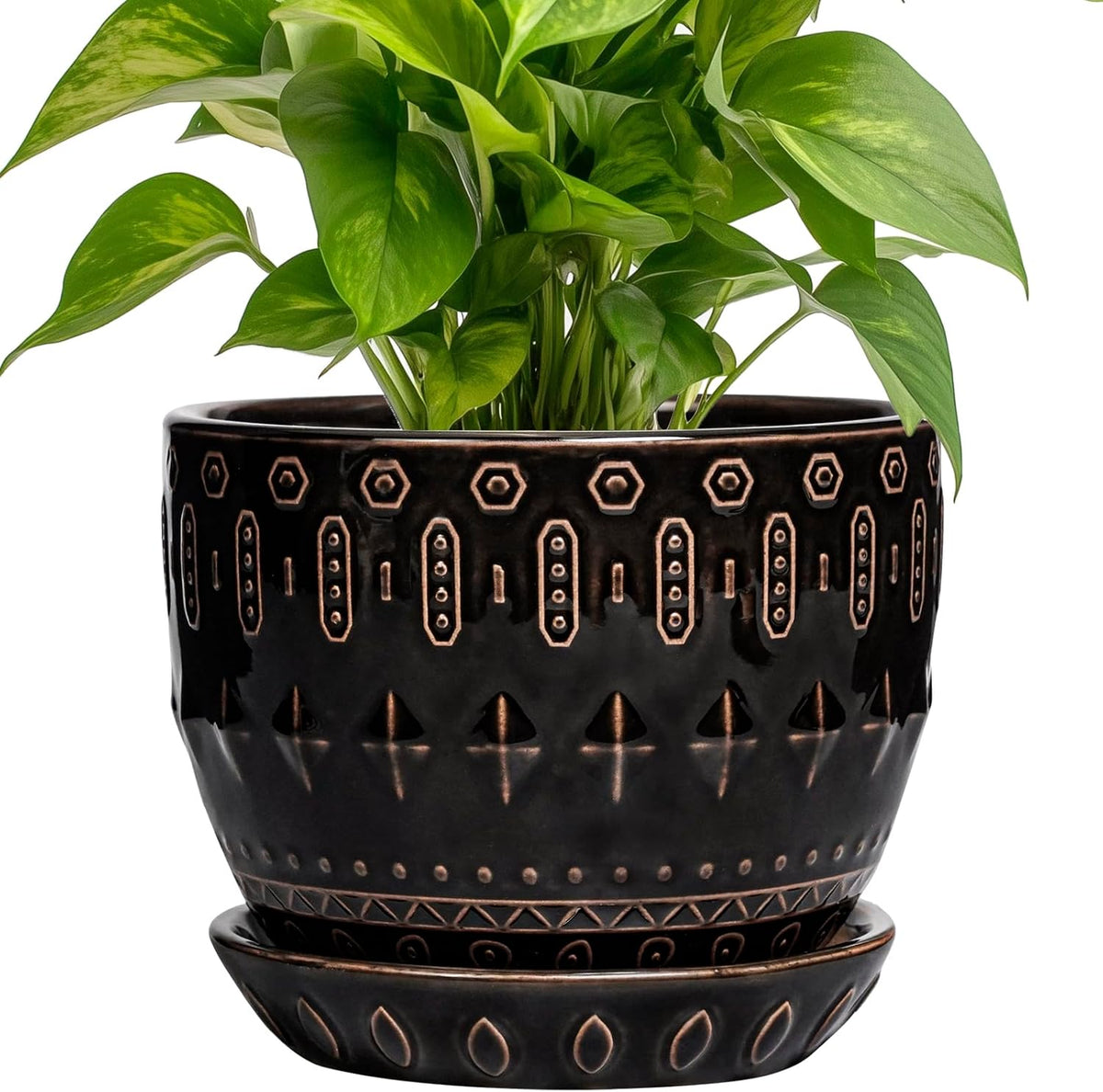 G EPGardening Ceramic Pot for Plants 5.5 Inch - Ceramic Plant Pot Indoor with Drainage Hole and