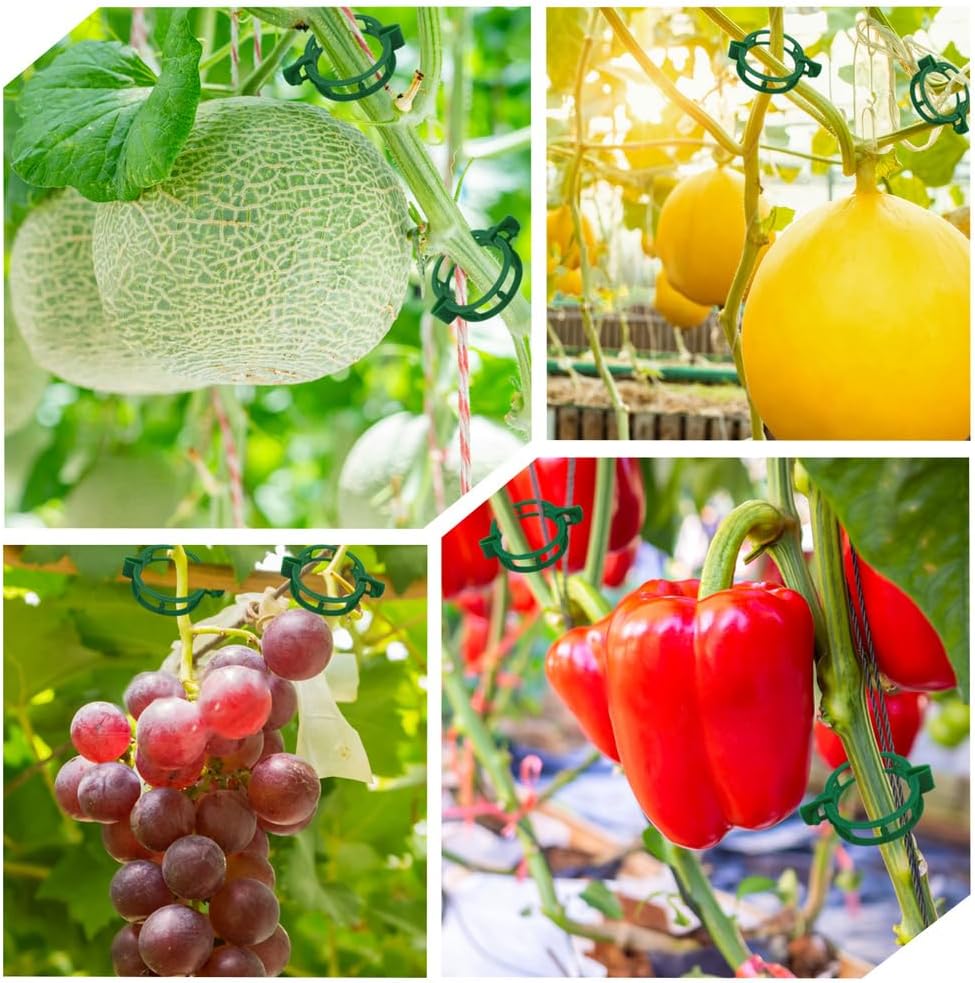 200 Pcs Plant Support Tomato Clips, Garden Clips, Crop Clips for Vine Vegetables, Fixing Tomato