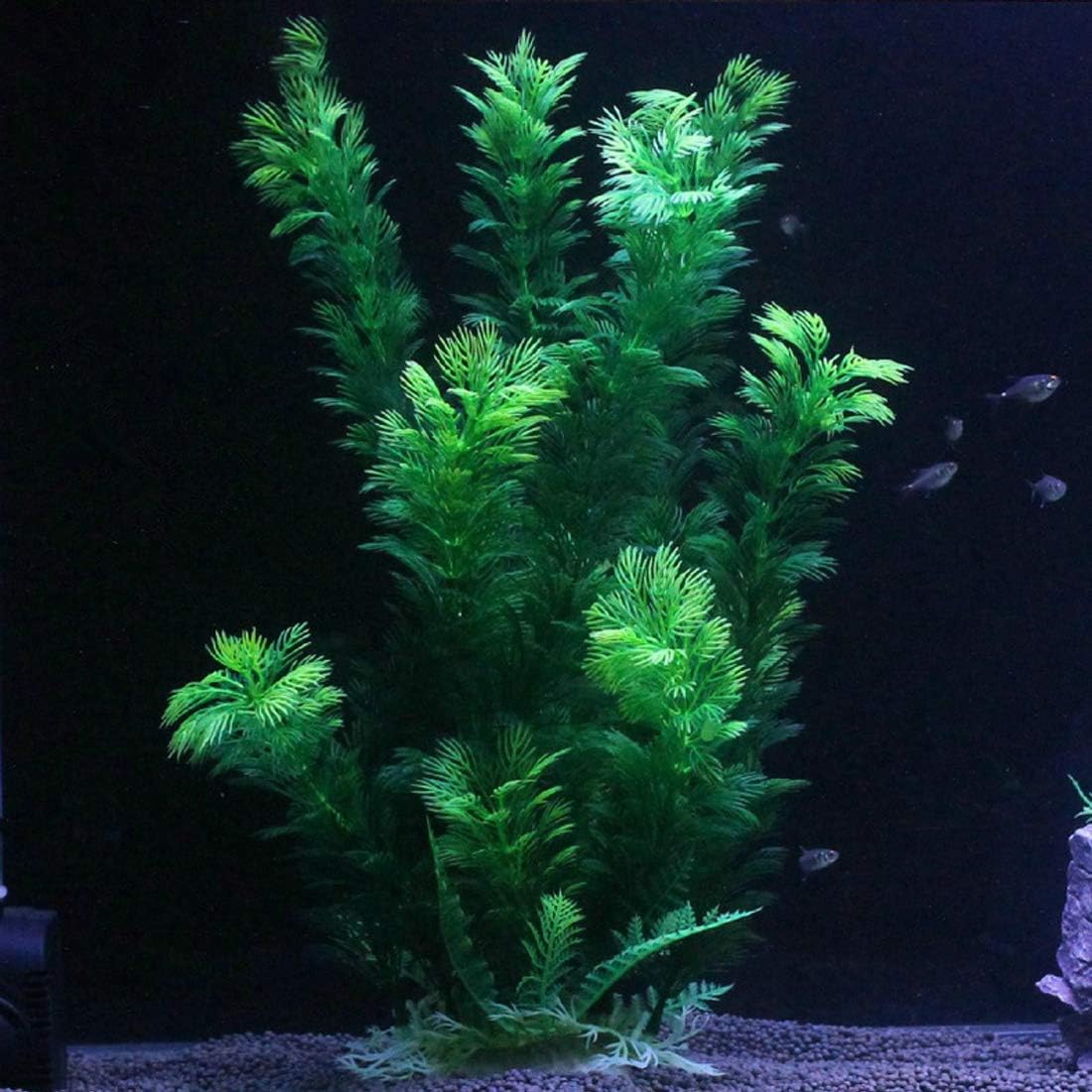 Hamiledyi Aquarium Plants Plastic Decor Fish Tank Green Decorations Plants Ornament Safe for All